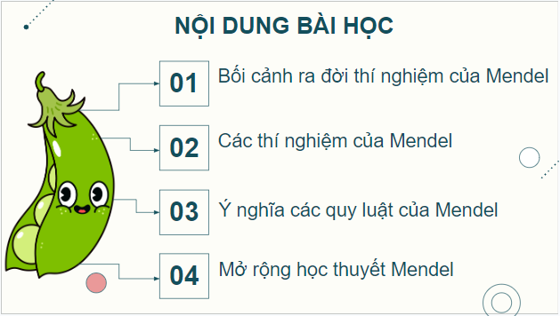 Giáo án điện tử Sinh 12 Chân trời sáng tạo Bài 7: Di truyền học Mendel và mở rộng học thuyết Mendel | PPT Sinh học 12