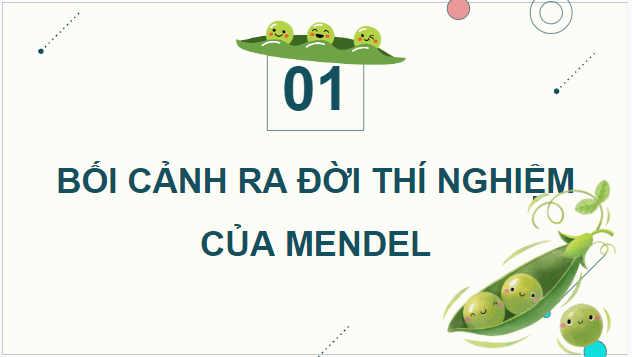 Giáo án điện tử Sinh 12 Chân trời sáng tạo Bài 7: Di truyền học Mendel và mở rộng học thuyết Mendel | PPT Sinh học 12