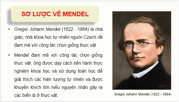 Giáo án điện tử Sinh 12 Chân trời sáng tạo Bài 7: Di truyền học Mendel và mở rộng học thuyết Mendel | PPT Sinh học 12