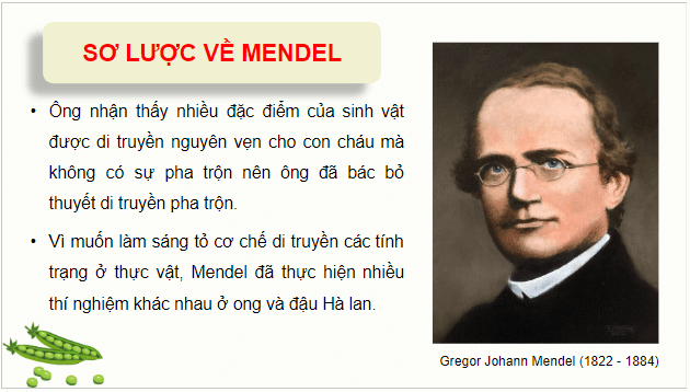 Giáo án điện tử Sinh 12 Chân trời sáng tạo Bài 7: Di truyền học Mendel và mở rộng học thuyết Mendel | PPT Sinh học 12