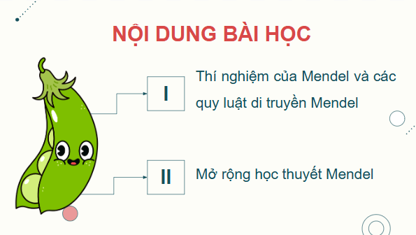 Giáo án điện tử Sinh 12 Cánh diều Bài 7: Di truyền học Mendel và mở rộng học thuyết Mendel | PPT Sinh học 12