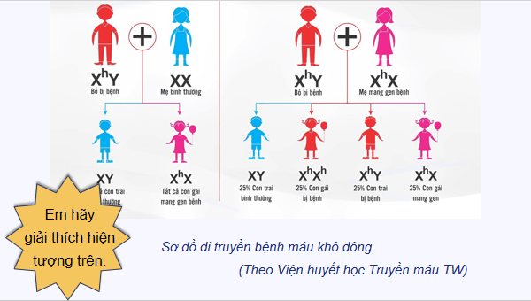 Giáo án điện tử Sinh 12 Chân trời sáng tạo Bài 8: Các quy luật di truyền của Morgan và di truyền giới tính | PPT Sinh học 12