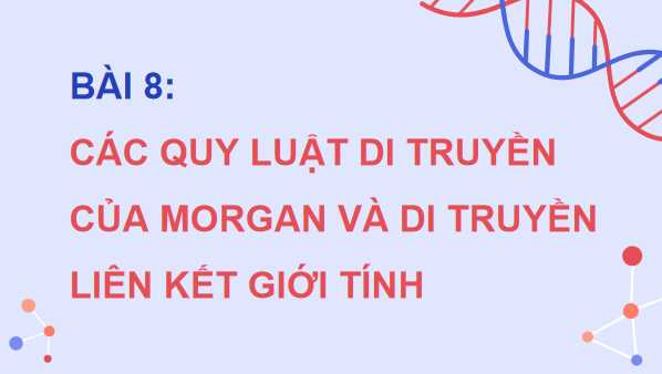 Giáo án điện tử Sinh 12 Chân trời sáng tạo Bài 8: Các quy luật di truyền của Morgan và di truyền giới tính | PPT Sinh học 12