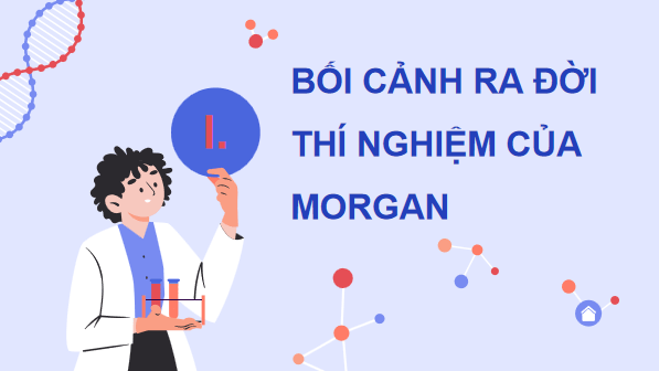 Giáo án điện tử Sinh 12 Chân trời sáng tạo Bài 8: Các quy luật di truyền của Morgan và di truyền giới tính | PPT Sinh học 12
