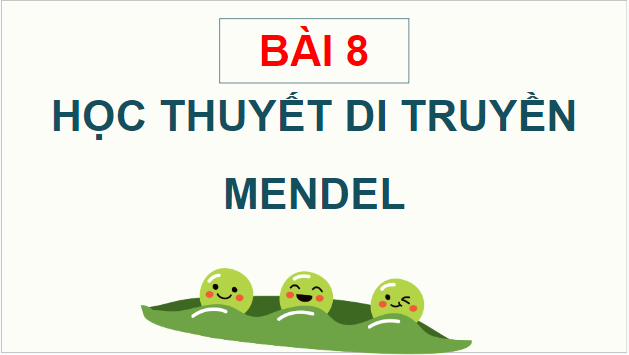 Giáo án điện tử Sinh 12 Kết nối tri thức Bài 8: Học thuyết di truyền của Mendel | PPT Sinh học 12