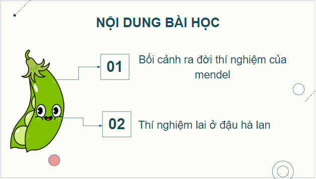 Giáo án điện tử Sinh 12 Kết nối tri thức Bài 8: Học thuyết di truyền của Mendel | PPT Sinh học 12