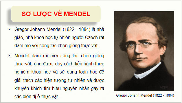 Giáo án điện tử Sinh 12 Kết nối tri thức Bài 8: Học thuyết di truyền của Mendel | PPT Sinh học 12