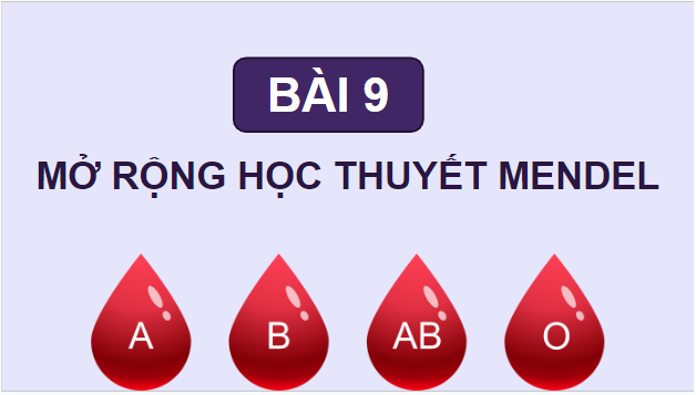 Giáo án điện tử Sinh 12 Kết nối tri thức Bài 9: Mở rộng học thuyết Mendel | PPT Sinh học 12