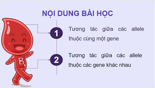 Giáo án điện tử Sinh 12 Kết nối tri thức Bài 9: Mở rộng học thuyết Mendel | PPT Sinh học 12