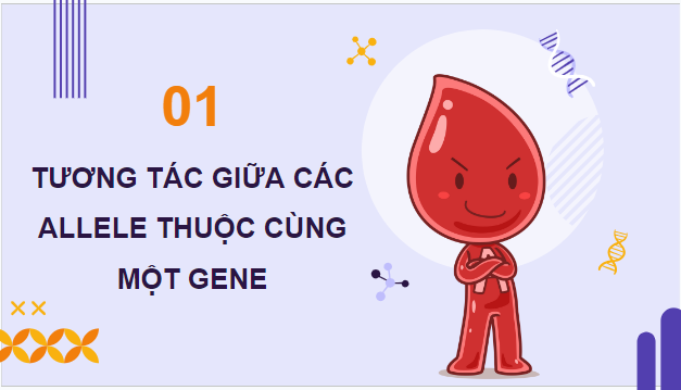 Giáo án điện tử Sinh 12 Kết nối tri thức Bài 9: Mở rộng học thuyết Mendel | PPT Sinh học 12