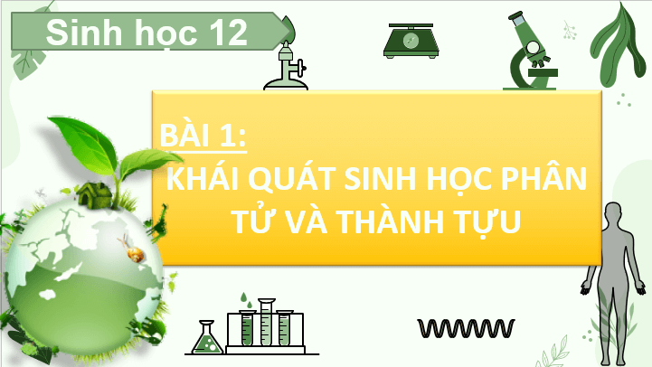 Giáo án điện tử Chuyên đề Sinh 12 Chân trời sáng tạo Bài 1: Khái quát sinh học phân tử và các thành tựu | PPT Chuyên đề Sinh học 12