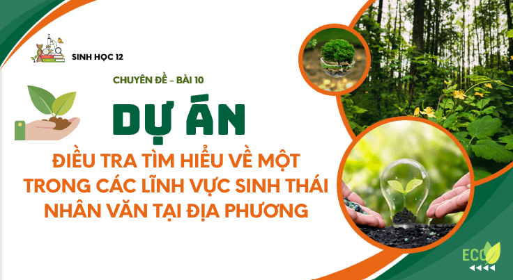 Giáo án điện tử Chuyên đề Sinh 12 Chân trời sáng tạo Bài 10: Dự án: Điều tra tìm hiểu về một trong các lĩnh vực sinh thái nhân văn tại địa phương | PPT Chuyên đề Sinh học 12