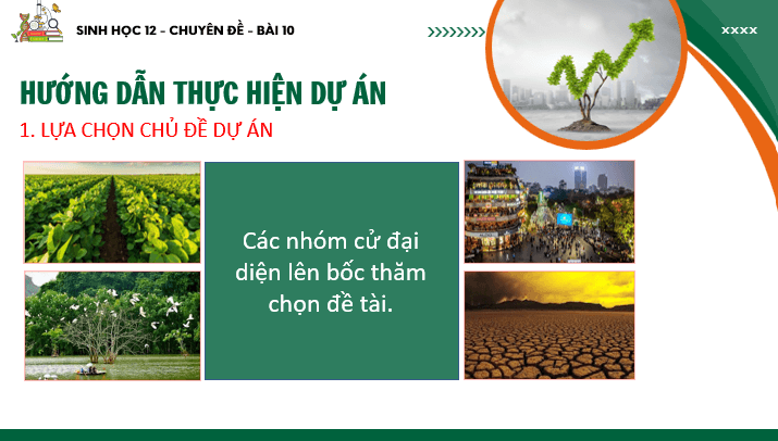 Giáo án điện tử Chuyên đề Sinh 12 Chân trời sáng tạo Bài 10: Dự án: Điều tra tìm hiểu về một trong các lĩnh vực sinh thái nhân văn tại địa phương | PPT Chuyên đề Sinh học 12