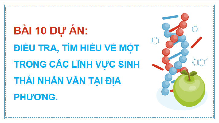 Giáo án điện tử Chuyên đề Sinh 12 Kết nối tri thức Bài 10: Dự án: Điều tra, tìm hiểu về một trong các lĩnh vực sinh thái nhân văn tại địa phương | PPT Chuyên đề Sinh học 12