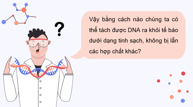 Giáo án điện tử Chuyên đề Sinh 12 Kết nối tri thức Bài 2: Phương pháp tách chiết DNA | PPT Chuyên đề Sinh học 12