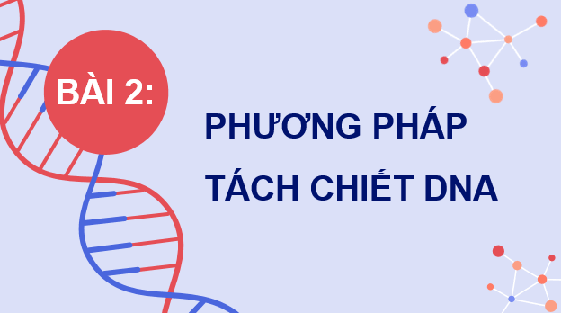 Giáo án điện tử Chuyên đề Sinh 12 Kết nối tri thức Bài 2: Phương pháp tách chiết DNA | PPT Chuyên đề Sinh học 12