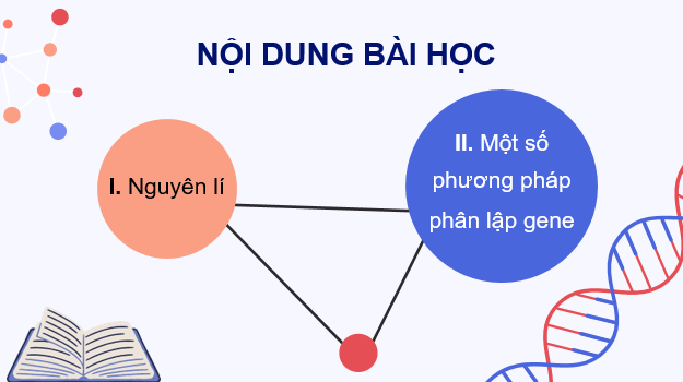 Giáo án điện tử Chuyên đề Sinh 12 Kết nối tri thức Bài 2: Phương pháp tách chiết DNA | PPT Chuyên đề Sinh học 12