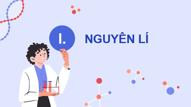 Giáo án điện tử Chuyên đề Sinh 12 Kết nối tri thức Bài 2: Phương pháp tách chiết DNA | PPT Chuyên đề Sinh học 12