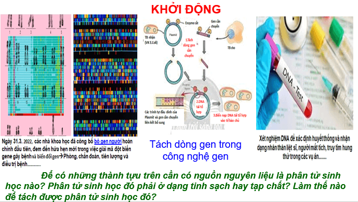 Giáo án điện tử Chuyên đề Sinh 12 Chân trời sáng tạo Bài 2: Tách chiết DNA từ tế bào | PPT Chuyên đề Sinh học 12