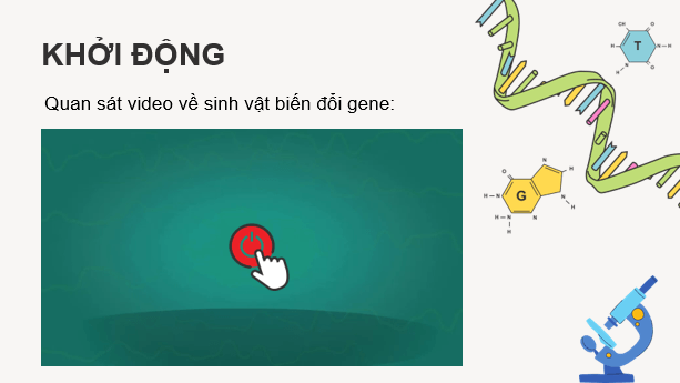 Giáo án điện tử Chuyên đề Sinh 12 Kết nối tri thức Bài 3: Công nghệ gene | PPT Chuyên đề Sinh học 12