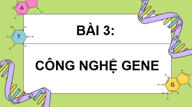 Giáo án điện tử Chuyên đề Sinh 12 Kết nối tri thức Bài 3: Công nghệ gene | PPT Chuyên đề Sinh học 12