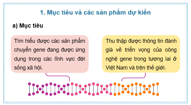 Giáo án điện tử Chuyên đề Sinh 12 Kết nối tri thức Bài 4: Dự án: Tìm hiểu về các sản phẩm chuyển gene và thu thập các thông tin đánh giá về triển vọng của công nghệ gene trong tương lai | PPT Chuyên đề Sinh học 12