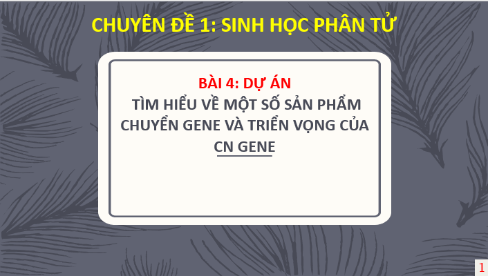 Giáo án điện tử Chuyên đề Sinh 12 Chân trời sáng tạo Bài 4: Dự án: Tìm hiểu về một số sản phẩm chuyển gene và triển vọng của công nghệ gene | PPT Chuyên đề Sinh học 12