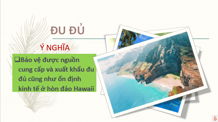 Giáo án điện tử Chuyên đề Sinh 12 Chân trời sáng tạo Bài 4: Dự án: Tìm hiểu về một số sản phẩm chuyển gene và triển vọng của công nghệ gene | PPT Chuyên đề Sinh học 12