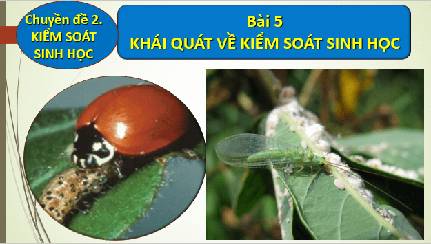 Giáo án điện tử Chuyên đề Sinh 12 Chân trời sáng tạo Bài 5: Khái quát về kiểm soát sinh học | PPT Chuyên đề Sinh học 12