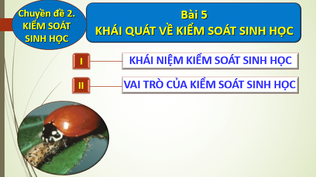 Giáo án điện tử Chuyên đề Sinh 12 Chân trời sáng tạo Bài 5: Khái quát về kiểm soát sinh học | PPT Chuyên đề Sinh học 12