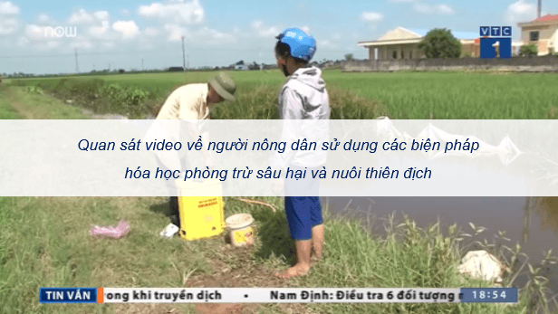 Giáo án điện tử Chuyên đề Sinh 12 Kết nối tri thức Bài 6: Biện pháp kiểm soát sinh học | PPT Chuyên đề Sinh học 12