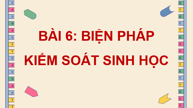 Giáo án điện tử Chuyên đề Sinh 12 Kết nối tri thức Bài 6: Biện pháp kiểm soát sinh học | PPT Chuyên đề Sinh học 12