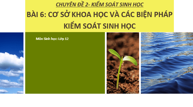Giáo án điện tử Chuyên đề Sinh 12 Chân trời sáng tạo Bài 6: Cơ sở khoa học và các biện pháp kiểm soát sinh học | PPT Chuyên đề Sinh học 12
