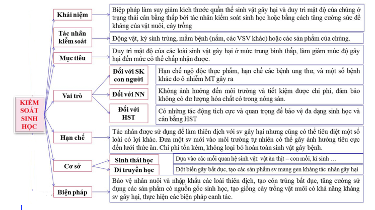 Giáo án điện tử Chuyên đề Sinh 12 Chân trời sáng tạo Ôn tập Chuyên đề 2 | PPT Chuyên đề Sinh học 12