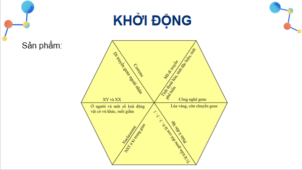 Giáo án điện tử Sinh 12 Chân trời sáng tạo Ôn tập Chương 1 | PPT Sinh học 12