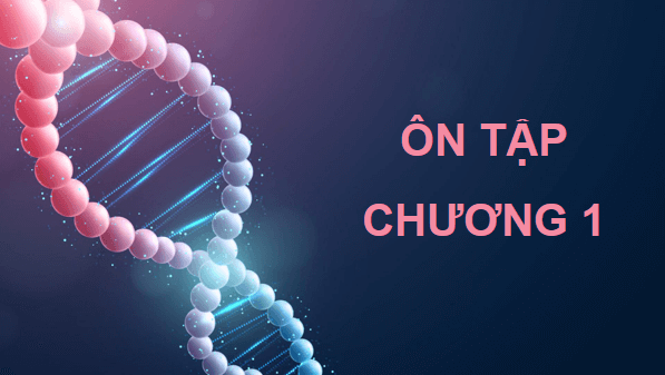 Giáo án điện tử Sinh 12 Chân trời sáng tạo Ôn tập Chương 1 | PPT Sinh học 12