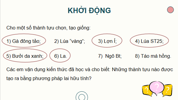 Giáo án điện tử Sinh 12 Chân trời sáng tạo Ôn tập Chương 2 | PPT Sinh học 12