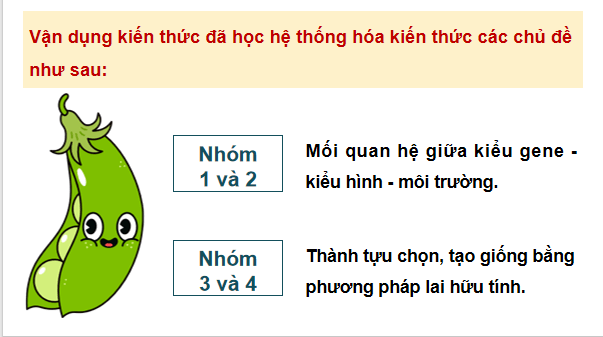 Giáo án điện tử Sinh 12 Chân trời sáng tạo Ôn tập Chương 2 | PPT Sinh học 12