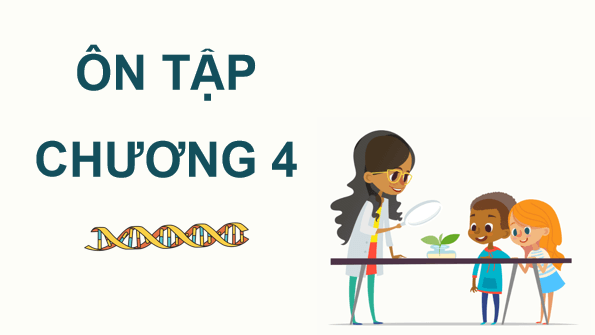 Giáo án điện tử Sinh 12 Chân trời sáng tạo Ôn tập Chương 4 | PPT Sinh học 12