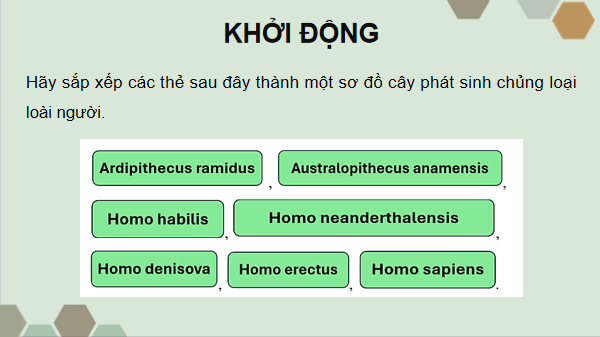 Giáo án điện tử Sinh 12 Chân trời sáng tạo Ôn tập Chương 5 | PPT Sinh học 12