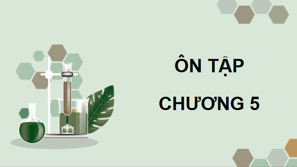 Giáo án điện tử Sinh 12 Chân trời sáng tạo Ôn tập Chương 5 | PPT Sinh học 12