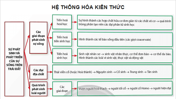 Giáo án điện tử Sinh 12 Chân trời sáng tạo Ôn tập Chương 5 | PPT Sinh học 12