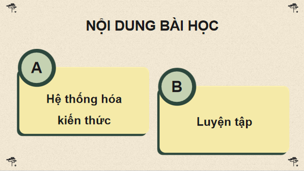 Giáo án điện tử Sinh 12 Chân trời sáng tạo Ôn tập Chương 6 | PPT Sinh học 12