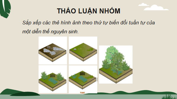 Giáo án điện tử Sinh 12 Chân trời sáng tạo Ôn tập Chương 7 | PPT Sinh học 12