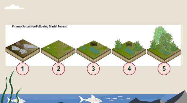 Giáo án điện tử Sinh 12 Chân trời sáng tạo Ôn tập Chương 7 | PPT Sinh học 12