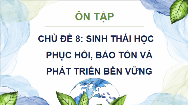 Giáo án điện tử Sinh 12 Chân trời sáng tạo Ôn tập Chương 8 | PPT Sinh học 12