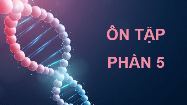 Giáo án điện tử Sinh 12 Cánh diều Ôn tập Phần 5 | PPT Sinh học 12