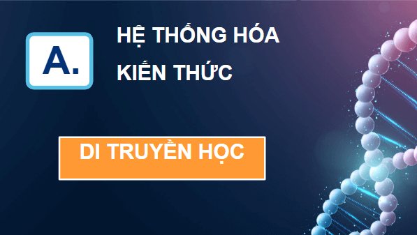 Giáo án điện tử Sinh 12 Cánh diều Ôn tập Phần 5 | PPT Sinh học 12