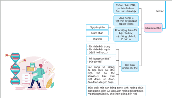 Giáo án điện tử Sinh 12 Cánh diều Ôn tập Phần 5 | PPT Sinh học 12