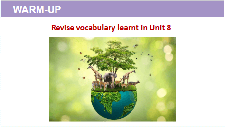 Giáo án điện tử Tiếng Anh 12 Global Success Unit 8 Looking Back | PPT Tiếng Anh 12